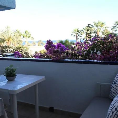 Bougainvillea Bamira *